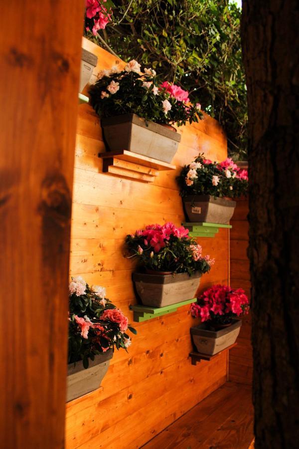 La Casa Di Nonno Giulio Bed & Breakfast Porto Sant'Elpidio Bagian luar foto