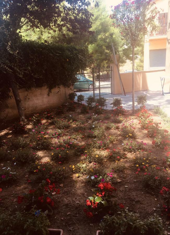 La Casa Di Nonno Giulio Bed & Breakfast Porto Sant'Elpidio Bagian luar foto
