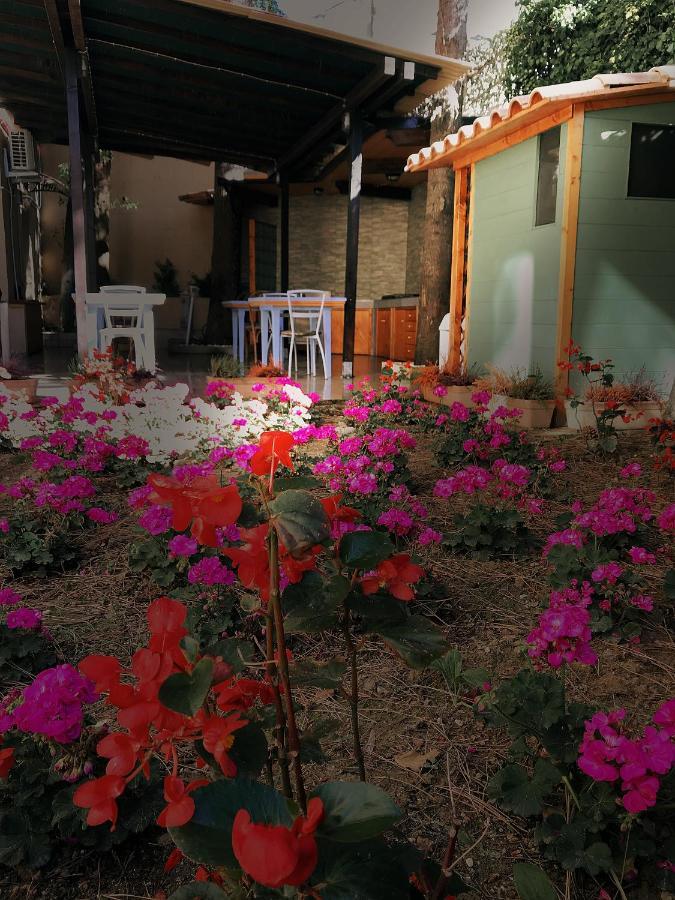 La Casa Di Nonno Giulio Bed & Breakfast Porto Sant'Elpidio Bagian luar foto
